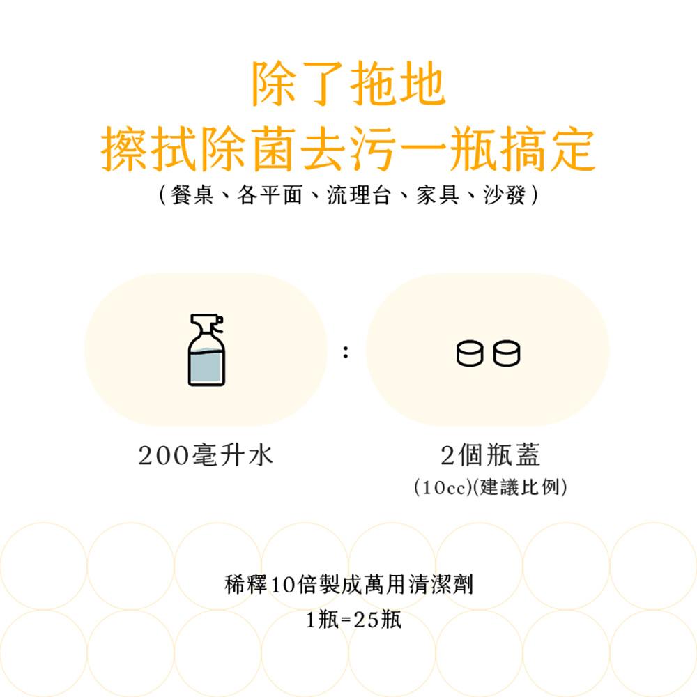 台灣 EASE 簡易淨 地板清潔液 檸檬地板精華液 500ml